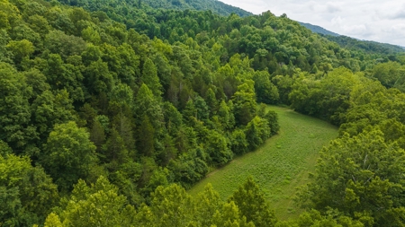 For Sale: Unrestricted Mountain Paradise in Hawkins County - image 14