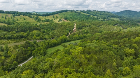 For Sale: Unrestricted Mountain Paradise in Hawkins County - image 20