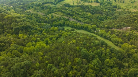 For Sale: Unrestricted Mountain Paradise in Hawkins County - image 41