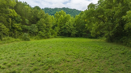 For Sale: Unrestricted Mountain Paradise in Hawkins County - image 6