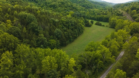For Sale: Unrestricted Mountain Paradise in Hawkins County - image 36