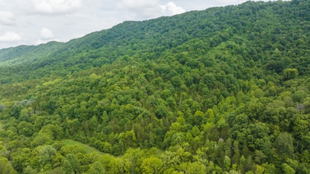 For Sale: Unrestricted Mountain Paradise in Hawkins County - image 11