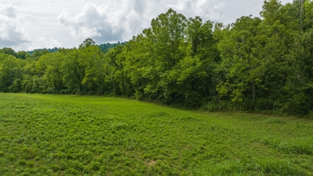 For Sale: Unrestricted Mountain Paradise in Hawkins County - image 35