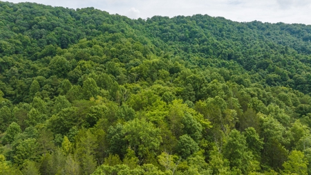 For Sale: Unrestricted Mountain Paradise in Hawkins County - image 18