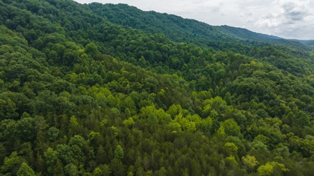 For Sale: Unrestricted Mountain Paradise in Hawkins County - image 40