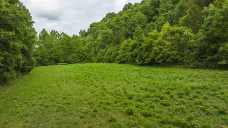 For Sale: Unrestricted Mountain Paradise in Hawkins County - image 5