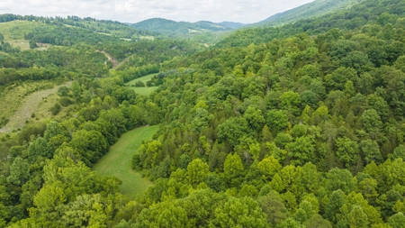 For Sale: Unrestricted Mountain Paradise in Hawkins County - image 9