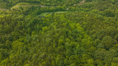 For Sale: Unrestricted Mountain Paradise in Hawkins County - image 42