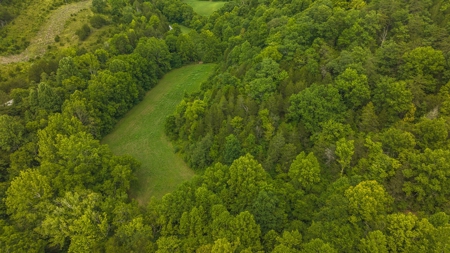 For Sale: Unrestricted Mountain Paradise in Hawkins County - image 8