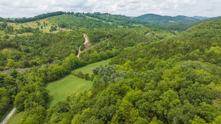 For Sale: Unrestricted Mountain Paradise in Hawkins County - image 21