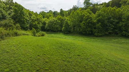 For Sale: Unrestricted Mountain Paradise in Hawkins County - image 27