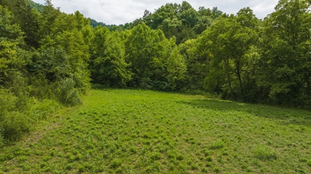 For Sale: Unrestricted Mountain Paradise in Hawkins County - image 1