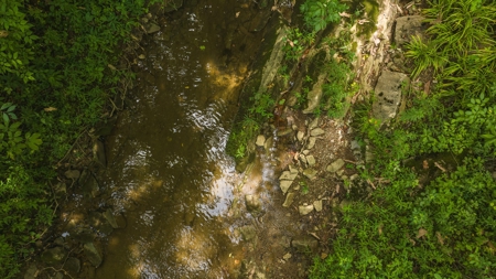 For Sale: Unrestricted Mountain Paradise in Hawkins County - image 47