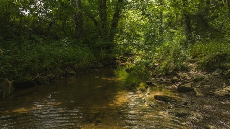 For Sale: Unrestricted Mountain Paradise in Hawkins County - image 46