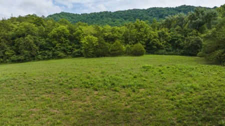 For Sale: Unrestricted Mountain Paradise in Hawkins County - image 32