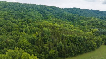 For Sale: Unrestricted Mountain Paradise in Hawkins County - image 37