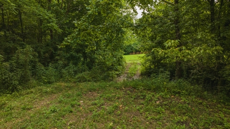 For Sale: Unrestricted Mountain Paradise in Hawkins County - image 24