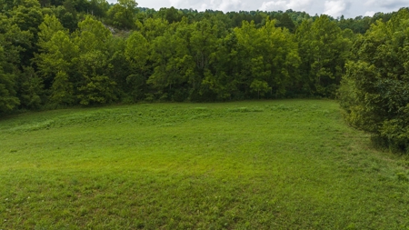 For Sale: Unrestricted Mountain Paradise in Hawkins County - image 26