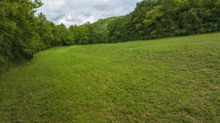 For Sale: Unrestricted Mountain Paradise in Hawkins County - image 31