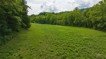 For Sale: Unrestricted Mountain Paradise in Hawkins County - image 34