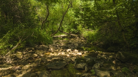 For Sale: Unrestricted Mountain Paradise in Hawkins County - image 43