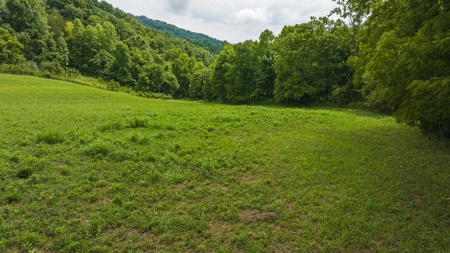 For Sale: Unrestricted Mountain Paradise in Hawkins County - image 28