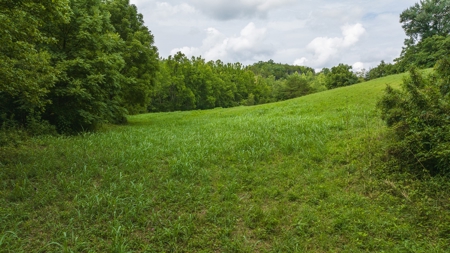 For Sale: Unrestricted Mountain Paradise in Hawkins County - image 23