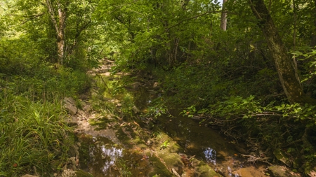 For Sale: Unrestricted Mountain Paradise in Hawkins County - image 50
