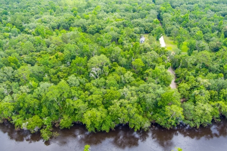 River Front Property For Sale On The Withlacoochee River! - image 5