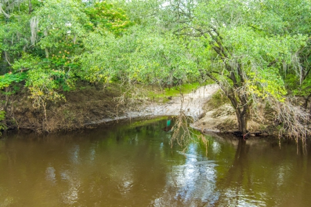River Front Property For Sale On The Withlacoochee River! - image 9