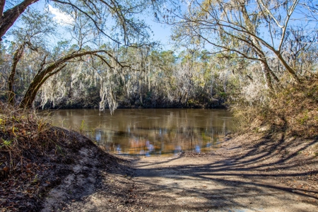 River Front Property For Sale On The Withlacoochee River! - image 3