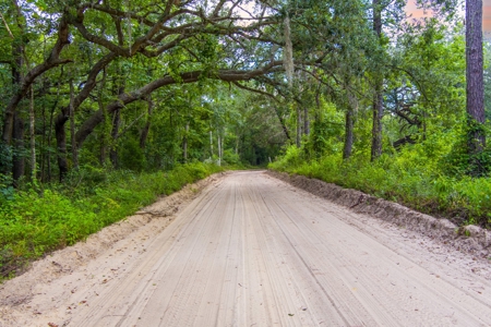 River Front Property For Sale On The Withlacoochee River! - image 12