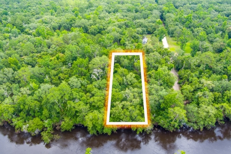River Front Property For Sale On The Withlacoochee River! - image 6