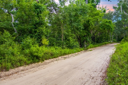 River Front Property For Sale On The Withlacoochee River! - image 11