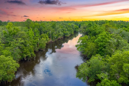 River Front Property For Sale On The Withlacoochee River! - image 8