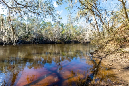 River Front Property For Sale On The Withlacoochee River! - image 4