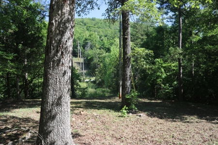 Cabin and 15 Acres with Creek For Sale - image 20