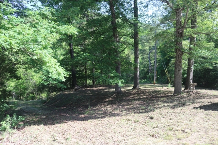 Cabin and 15 Acres with Creek For Sale - image 17