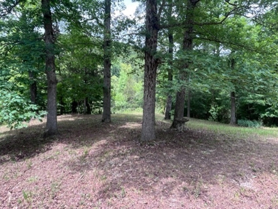 Cabin and 15 Acres with Creek For Sale - image 26