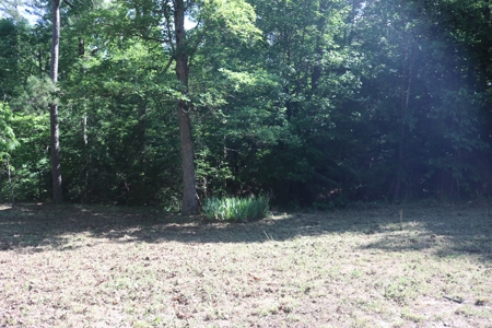 Cabin and 15 Acres with Creek For Sale - image 21