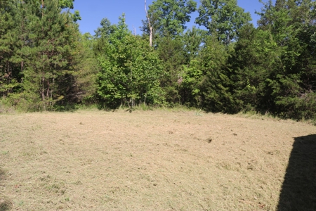 Cabin and 15 Acres with Creek For Sale - image 18