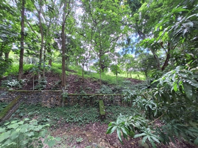 3 Properties for only $89,900 in Campana *UNDER CONTRACT* - image 2