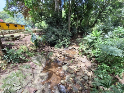3 Properties for only $89,900 in Campana *UNDER CONTRACT* - image 7