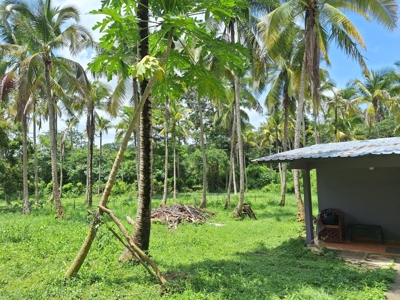 3 Properties for only $89,900 in Campana *UNDER CONTRACT* - image 10