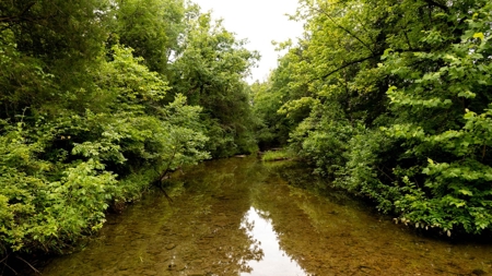 Creekfront 3.3 Acres in Sharp County Arkansas - image 5
