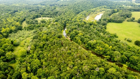 Creekfront 3.3 Acres in Sharp County Arkansas - image 3