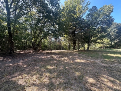 Creekfront 3.3 Acres in Sharp County Arkansas - image 10