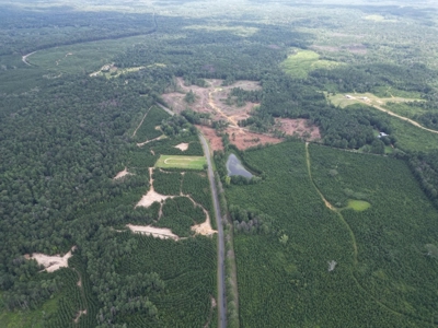 Small Hunting Property Near Homochitto National Forest - image 4