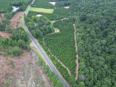 Small Hunting Property Near Homochitto National Forest - image 11