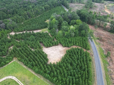 Small Hunting Property Near Homochitto National Forest - image 8